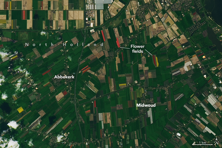 4 ways investors use satellite imagery, tracking tulips