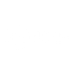 Vexcel Data Program Logo