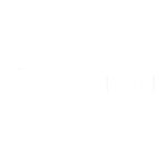 Wyvern Logo