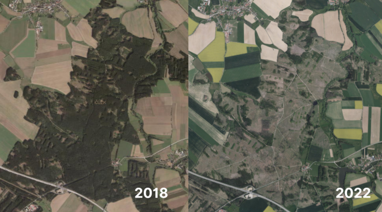 Satellite imagery for reforestation SPACETREES calamity_cz