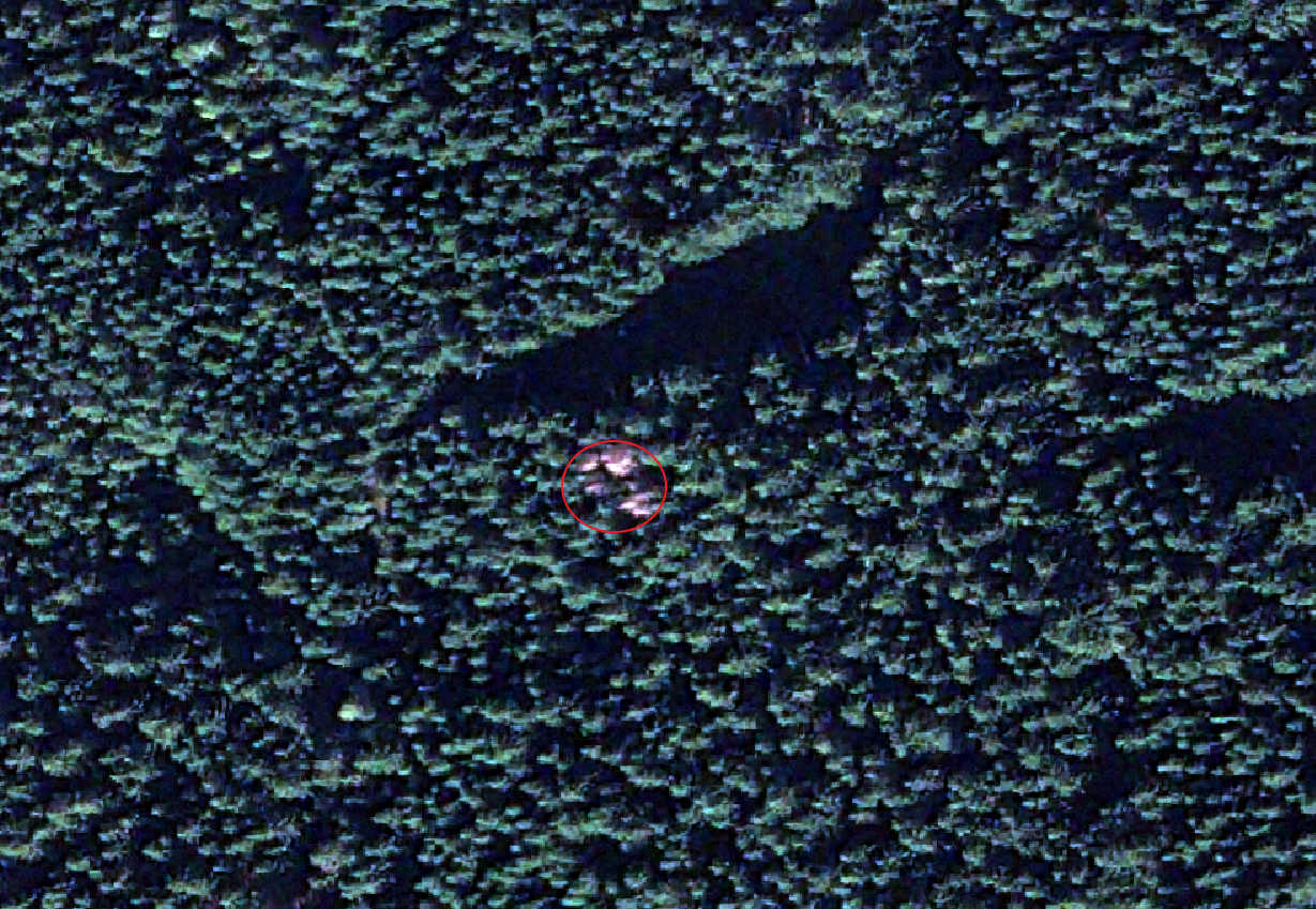 Satellite imagery for reforestation Dead trees identified with satellite imagery SPACETREES