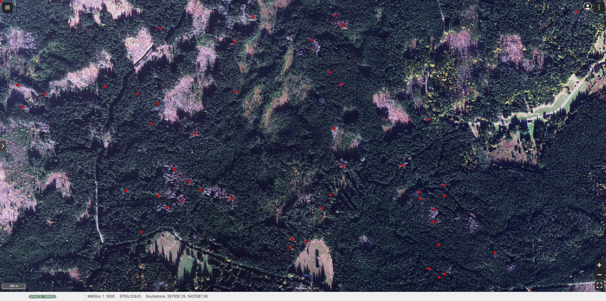 Satellite imagery for reforestation SPACETREES web application