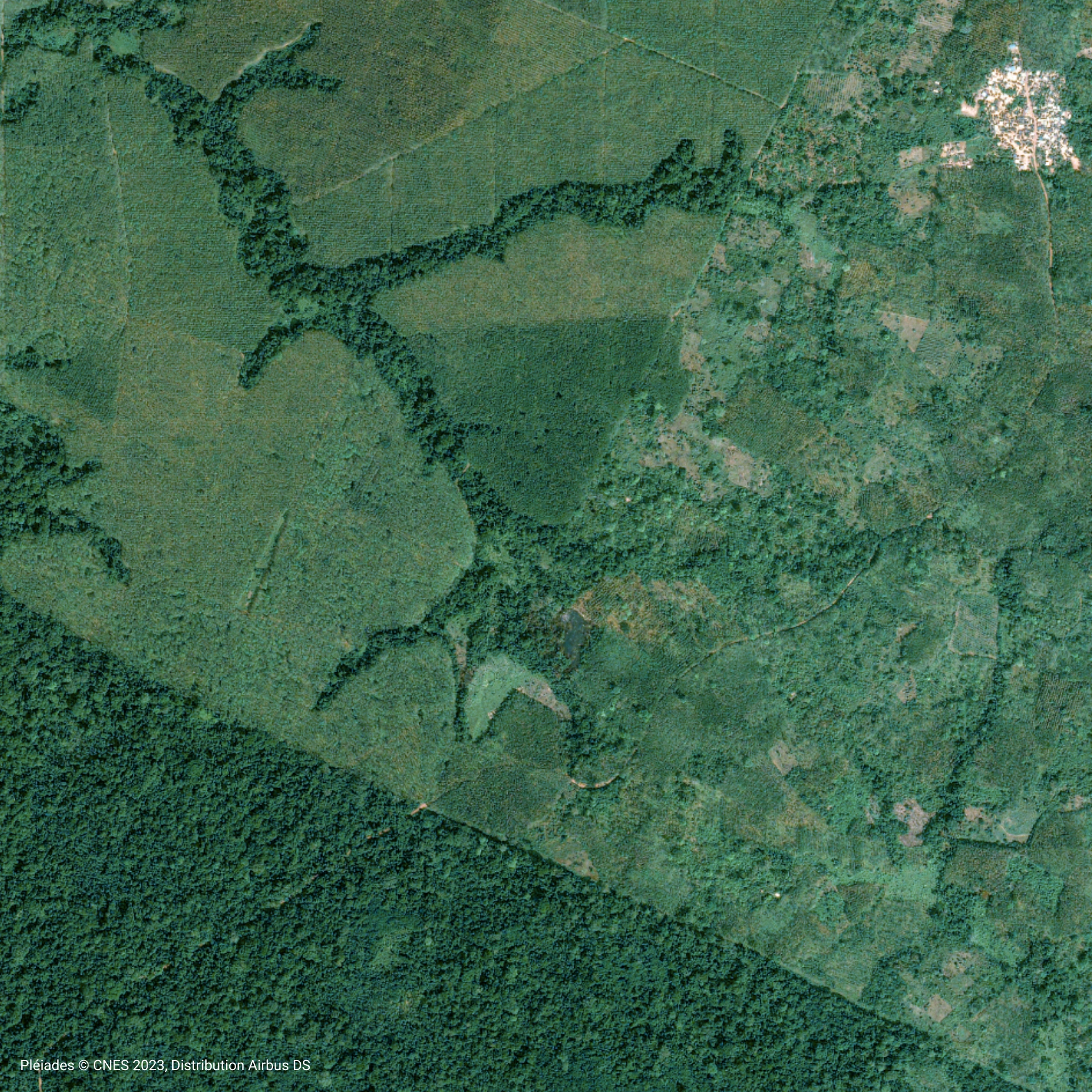 Pleaides-Satellite-Image-Cavally-Forest-Cote-dIvoire-©-CNES-2023-Distribution-Airbus-DS.png